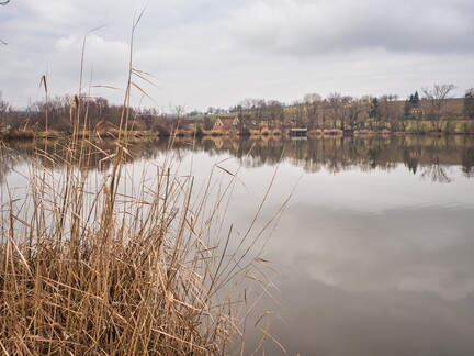 20220123160554-6ff95e3a